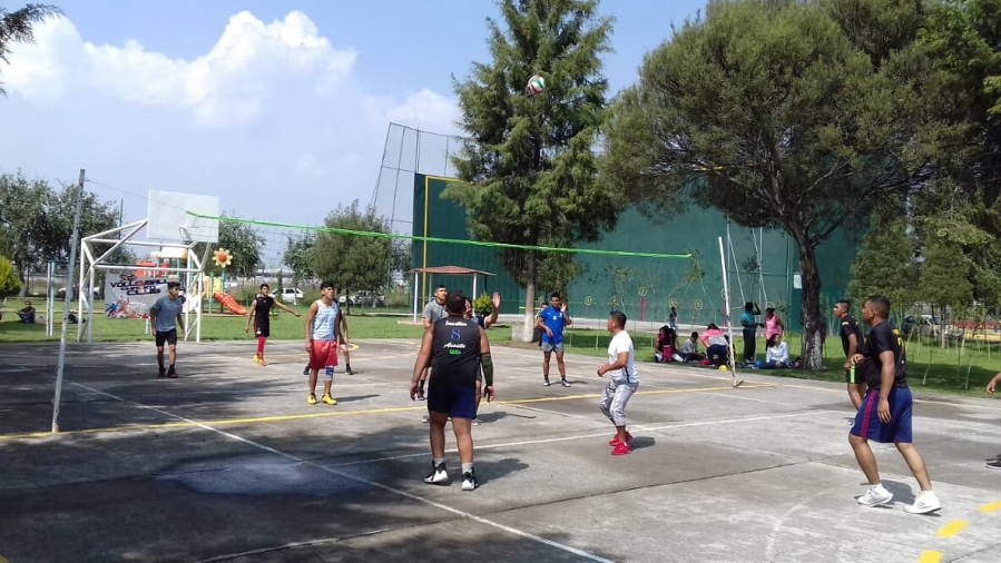 voleibol
