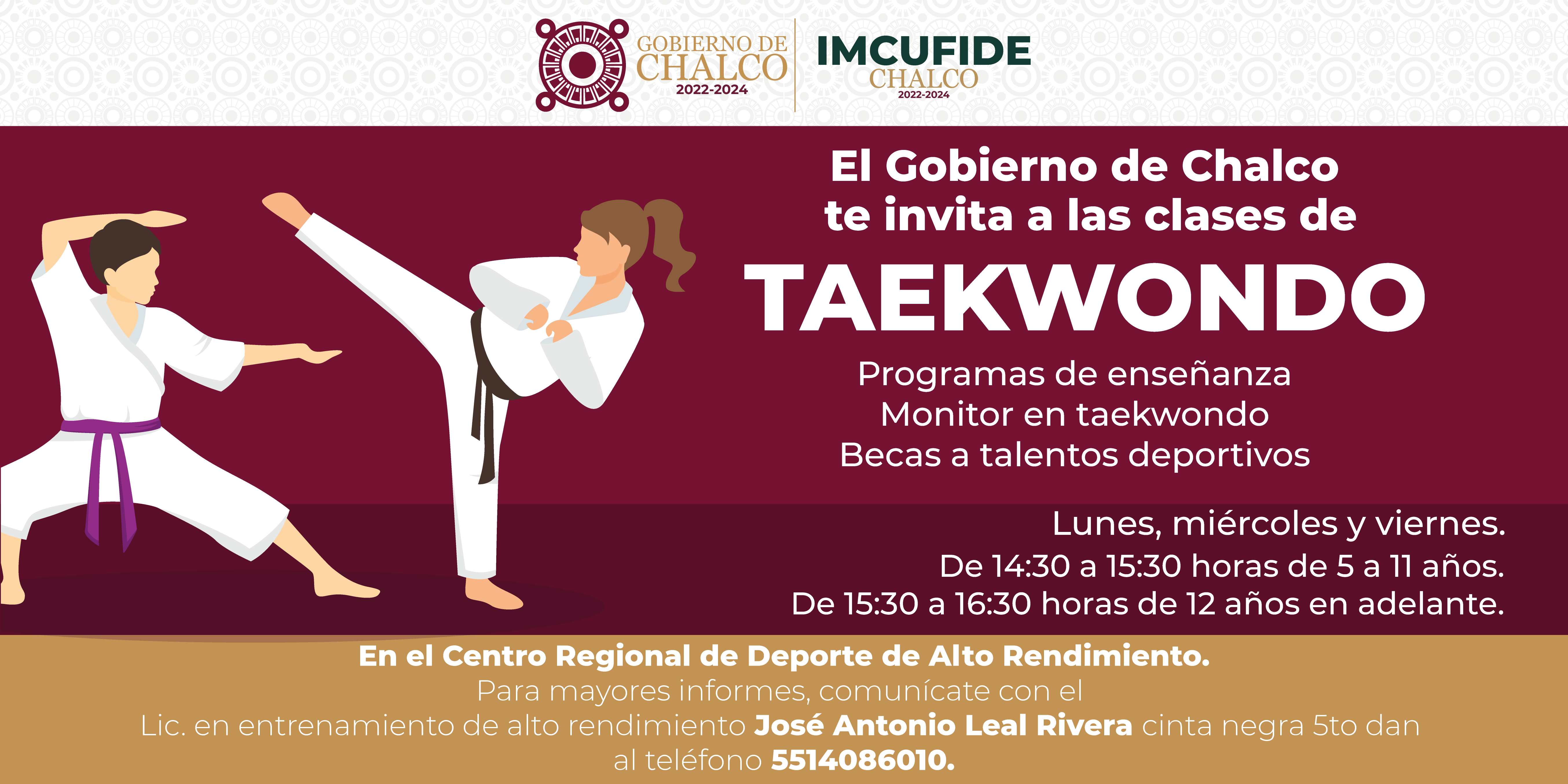 d-BANNER-TAEKWONDO-01